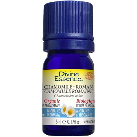 Chamomile: A Gift from the Gods with Divine Healing Potency